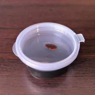 Salsa teriyaki grande