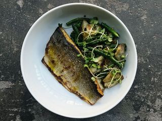 Сибас з овочами на грилі