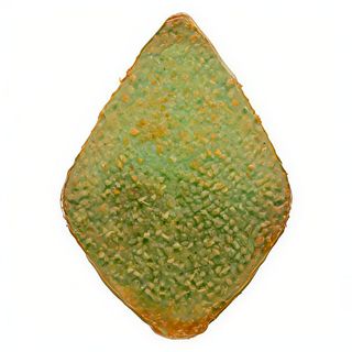 CROQUETÓN de Grelos