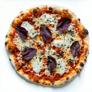 Trevigiana