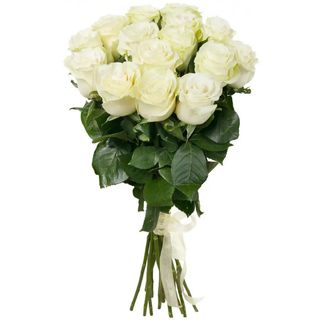   5 szt. róże ekwadorskie kremowe