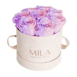 Mila Velvet Small