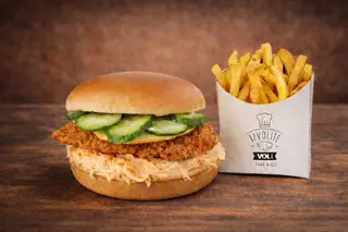 CRUNCHY CHICKEN DUO