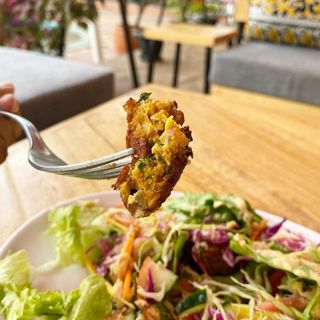 Falafel & Hummus Salad