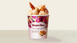 Tarrina Macadamia Nut Brittle 460ml