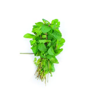 Menthe La Botte