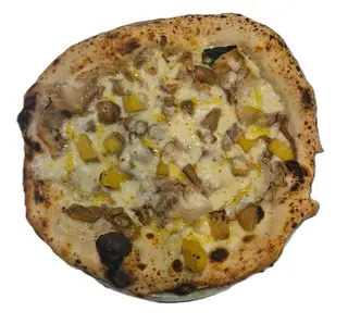 Ariccia
