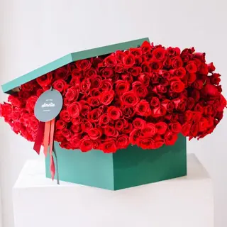 more roses ?