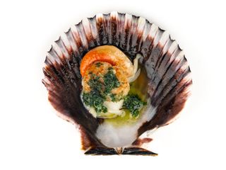 186 Capesante alla piastra - 2 pezzi