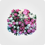 * თაიგული #31