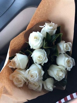 თეთრი ჰოლანდიური ვარდი 