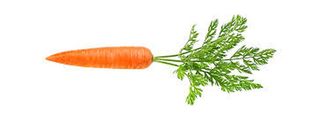 Carrot