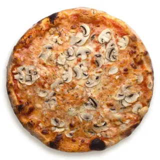 Funghi