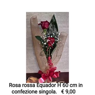 Rosa rossa Equador, confezione singola da 60 cm