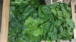Spinaci puliti