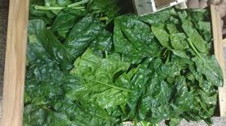 Spinaci puliti