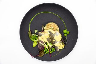 Biban de mare cu sos de citrice si cus cus