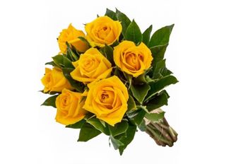 7 Рози, Жълти