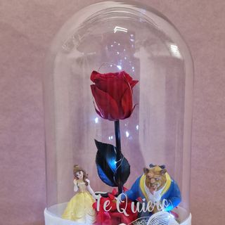 Cúpula Bella y la Bestia Rosa Eterna