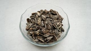 Suncokret peceni sareni