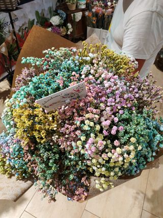 Ramo Paniculatas Mix