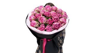 #22 Tulipany piwoniowe 25szt