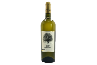 Falanghina Doc75 cl
