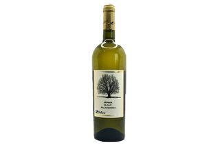 Falanghina Irpinia doc bellaria 75 cl