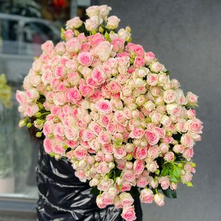 Троянда кущова «Гуд Муд»