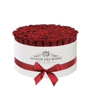 Trandafiri criogenati in cugtie giganta