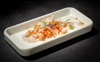 180. Carpaccio sesamo