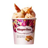 Häagen-Dazs Macadamia Nut Brittle
