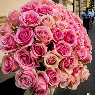 Buchet 51 trandafiri roz 