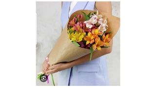 ალსტრომერია