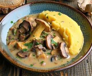 Tocana de hribi cu mamaliguta