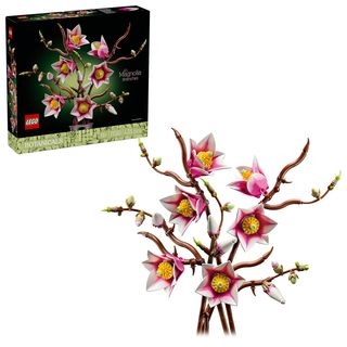 Ramuri de magnolie - 11510