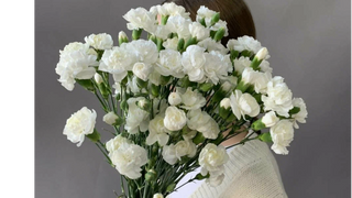 Goździki gałązkowe 15 sztuk – białe