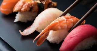 Nigiri polpo bollito