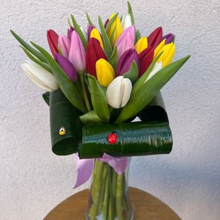 Buchet 25 de lalele colorate