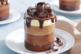 Chocolate Mousse 1 Pc Cake 