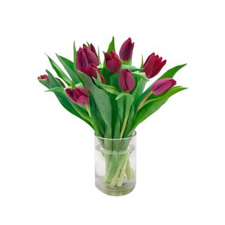 Tulipanes morados (10 uds)