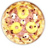 Mediana Tropical Caprice