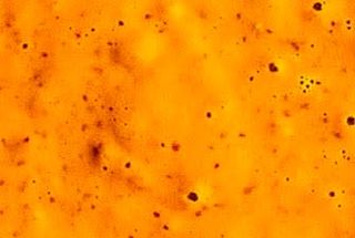 Salsa Cheddar Vegana