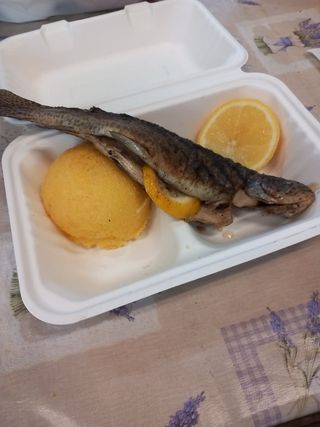 Pastrav la gratar cu mamaliguta si mujdei