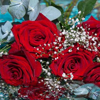 Ramo de 6 rosas rojas con verde