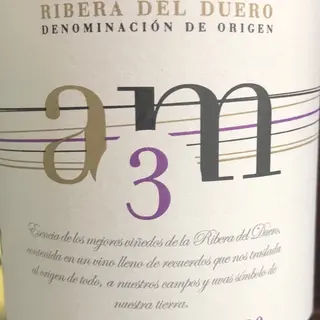 Ribera Del Duero AM3 (750 Ml.)
