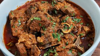 Plato Rogan Josh