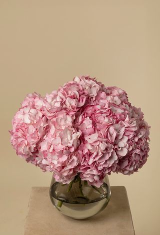 Ramo de 5 hoertensias rosas