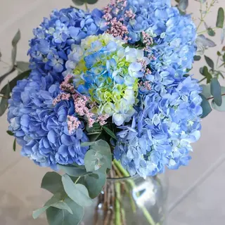 Ramo de hortensias azules · Mr. Blue Sky