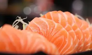 Sashimi Salmon